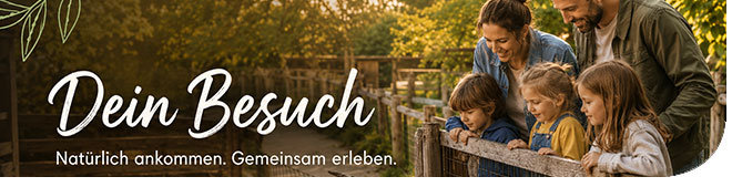 Dein Besuch